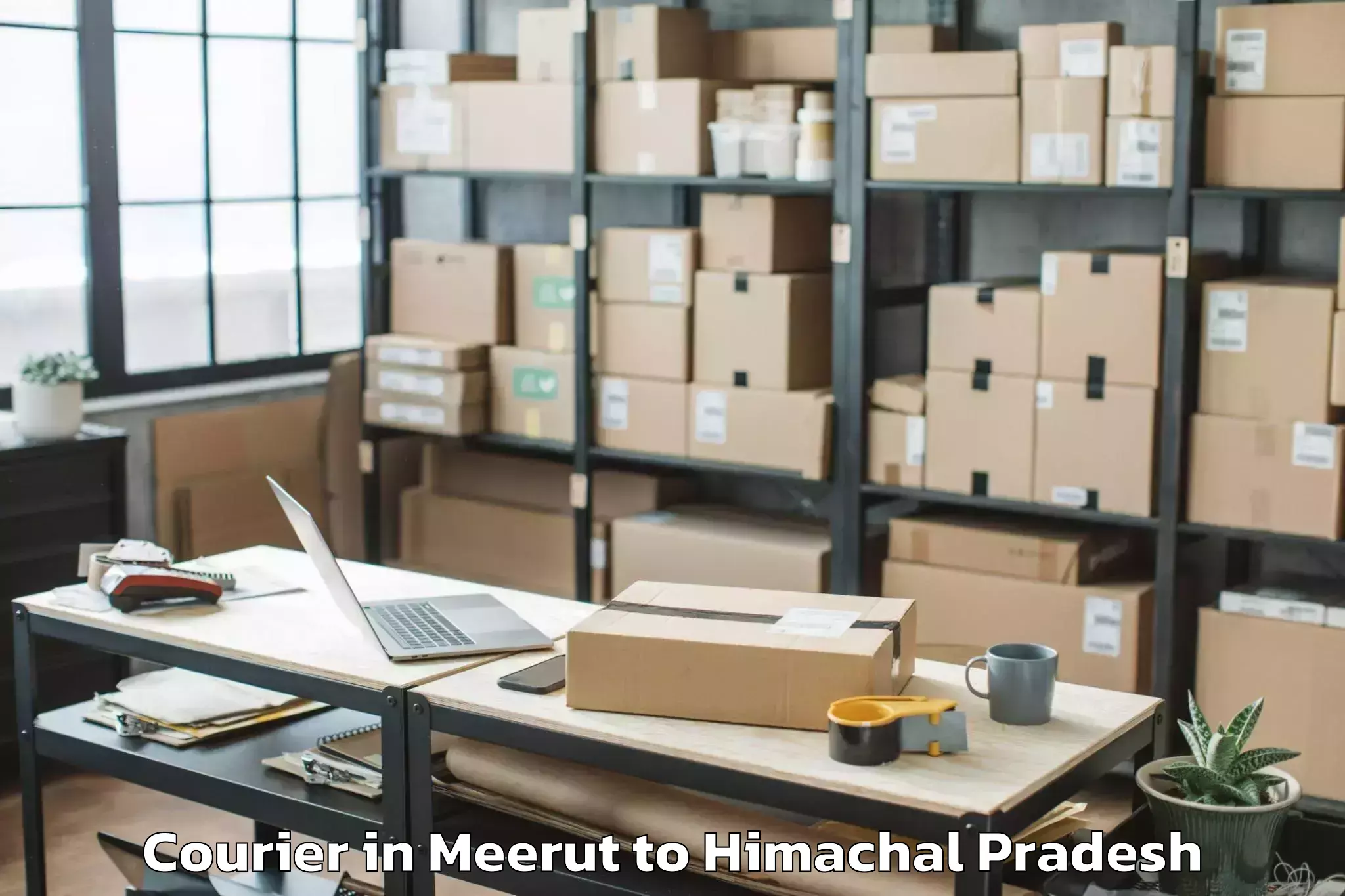 Leading Meerut to Nagrota Bagwan Courier Provider